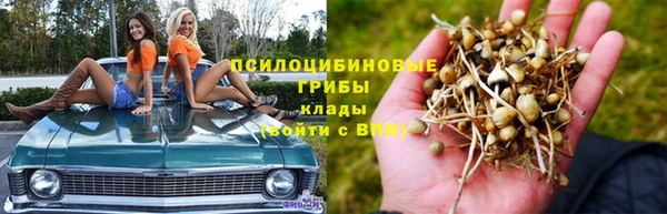 винт Армянск