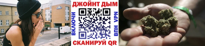 Конопля сатива Козьмодемьянск